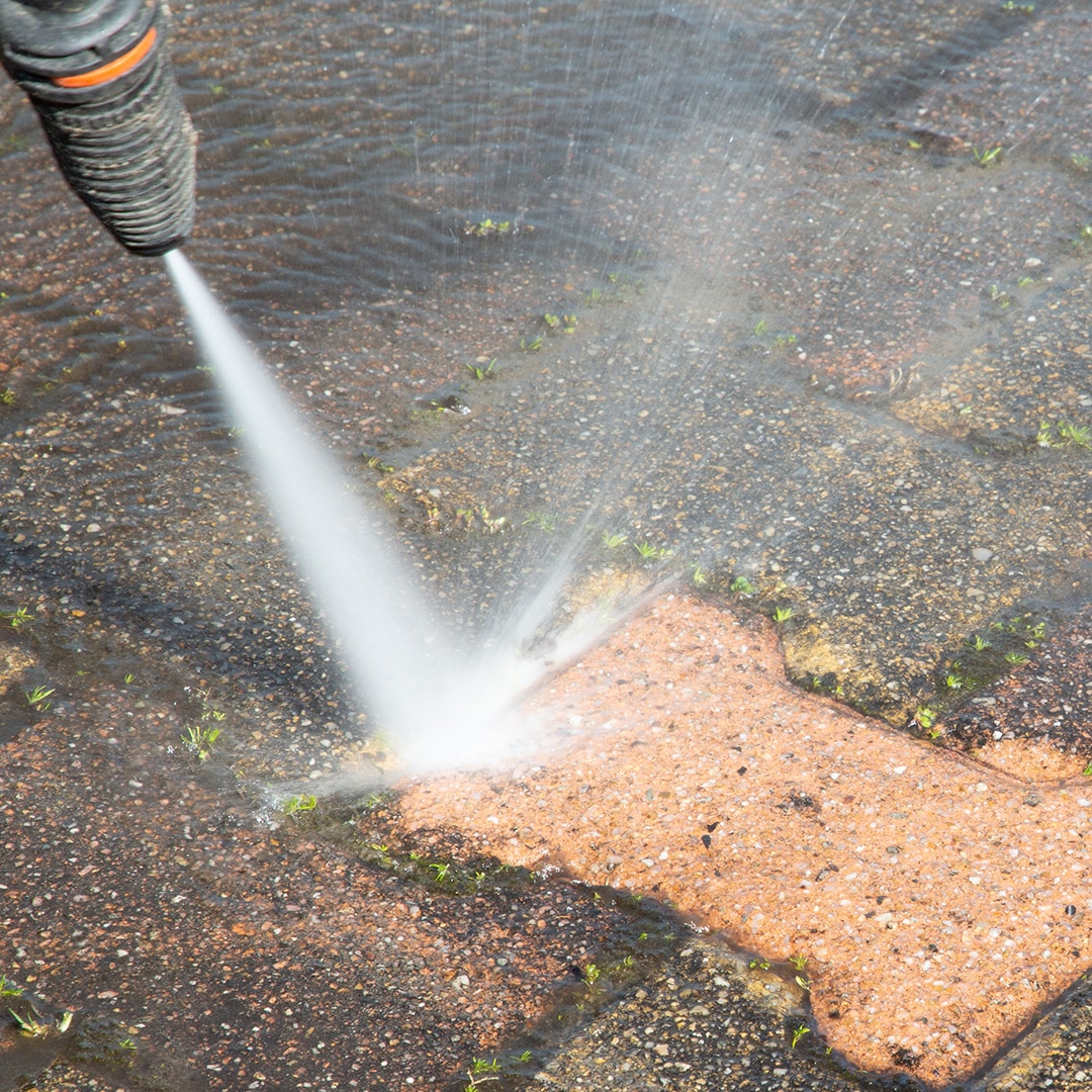 Window cleaning service